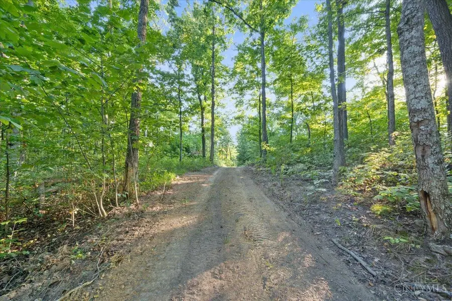 113 Waggoner Riffle Road, West Union, OH 45693 - #3