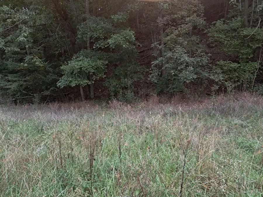2704 Churn Creek Road, Blue Creek, OH 45616 - #3