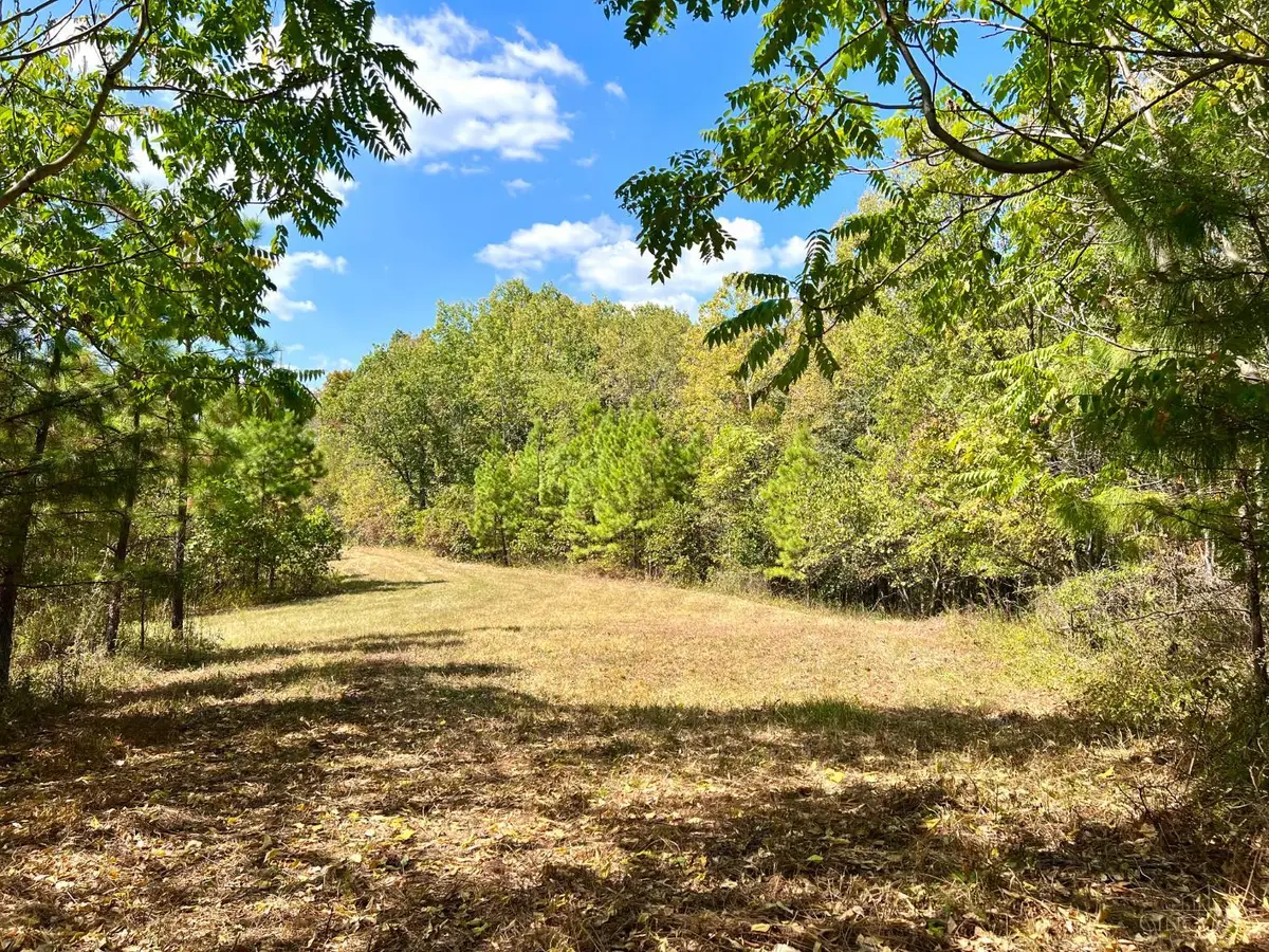 0 St Rt 348, Brush Creek, OH 45657 - #1