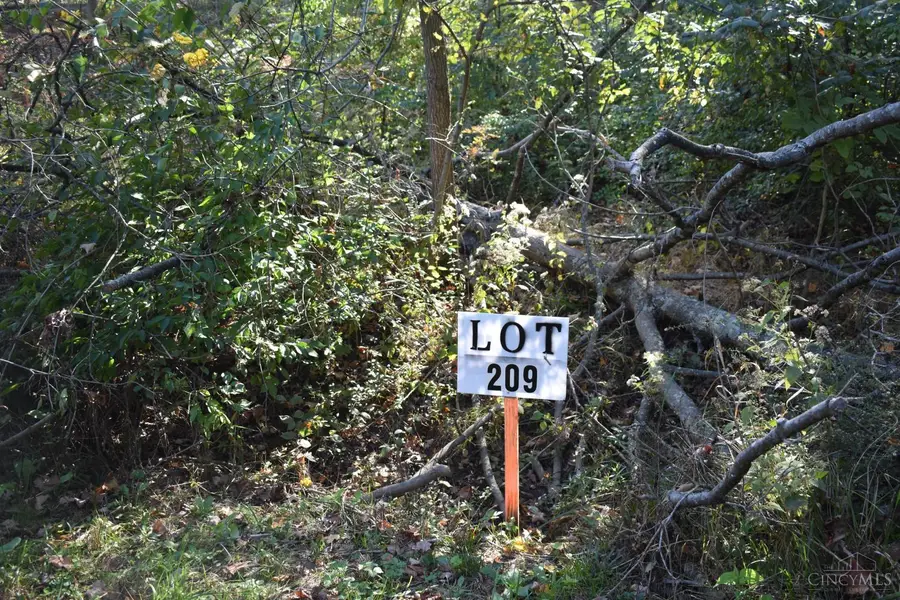 209 Schlitz Drive #209, Lake Lorelei, OH 45118 - #2