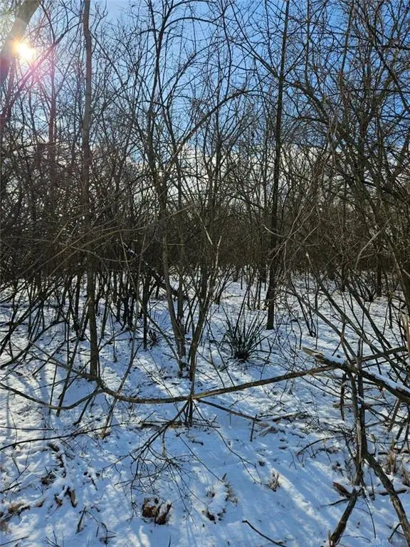 0 Nicholas Road, Dayton, OH 45481 - Image #3