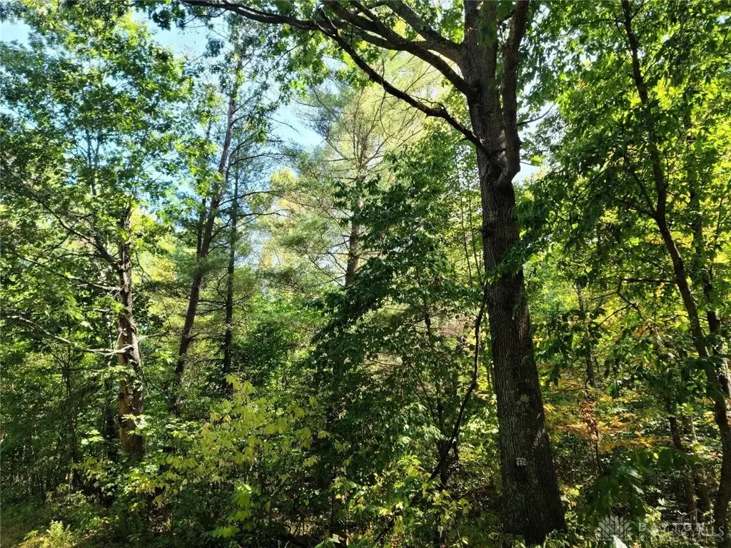 0 Apple Grove Dorcas Road, Racine, OH 45771 - Image #1