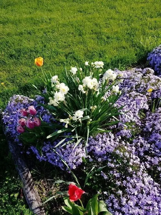 250 Chamberlain Road, Franklin, OH 45005 - Image #3