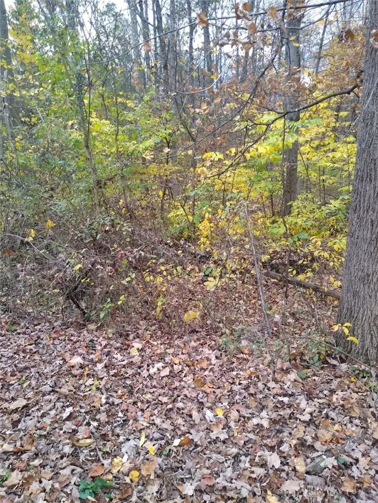 61000 Bolar Road, Richland, OH 45342 - #2