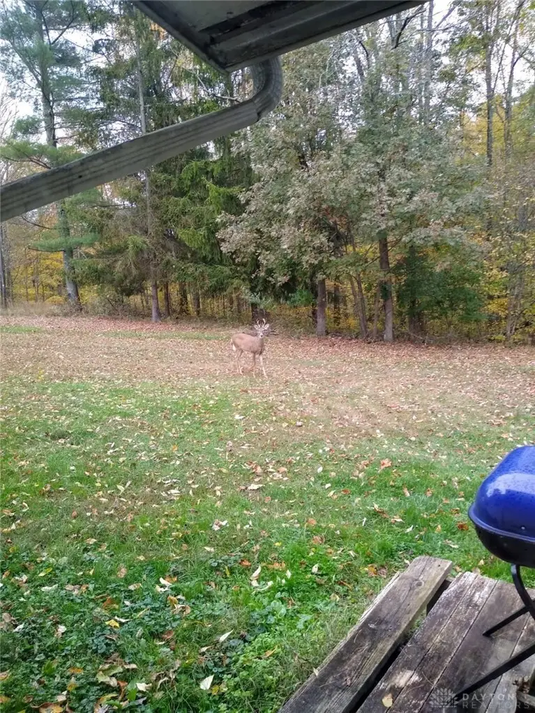 61000 Bolar Road, Richland, OH 45342 - #3