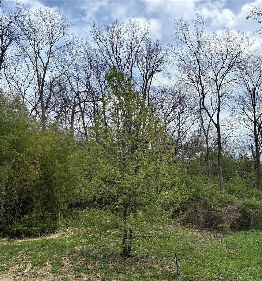 332 Collins Avenue, Cincinnati, OH 45202 - #1