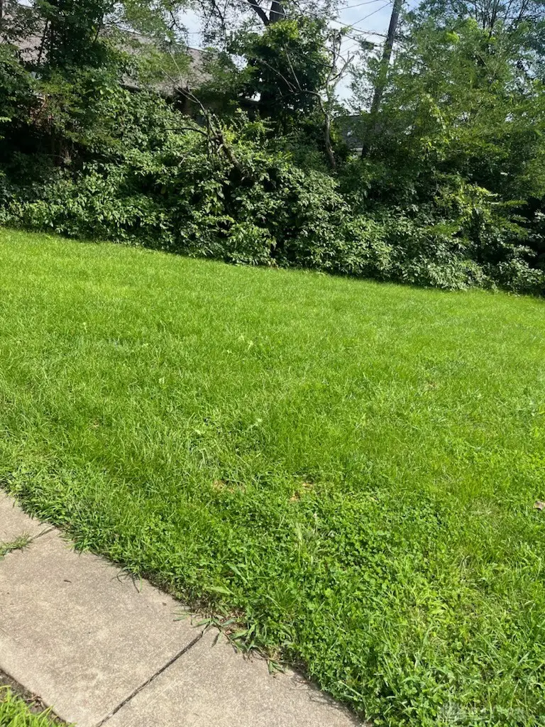 147 Laura Avenue, Dayton, OH 45405 - #2