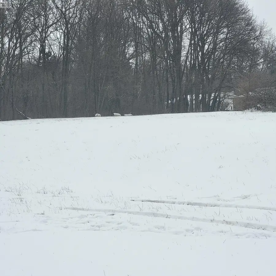 0 Hayes Street, Willard, OH 44890 - Image #3