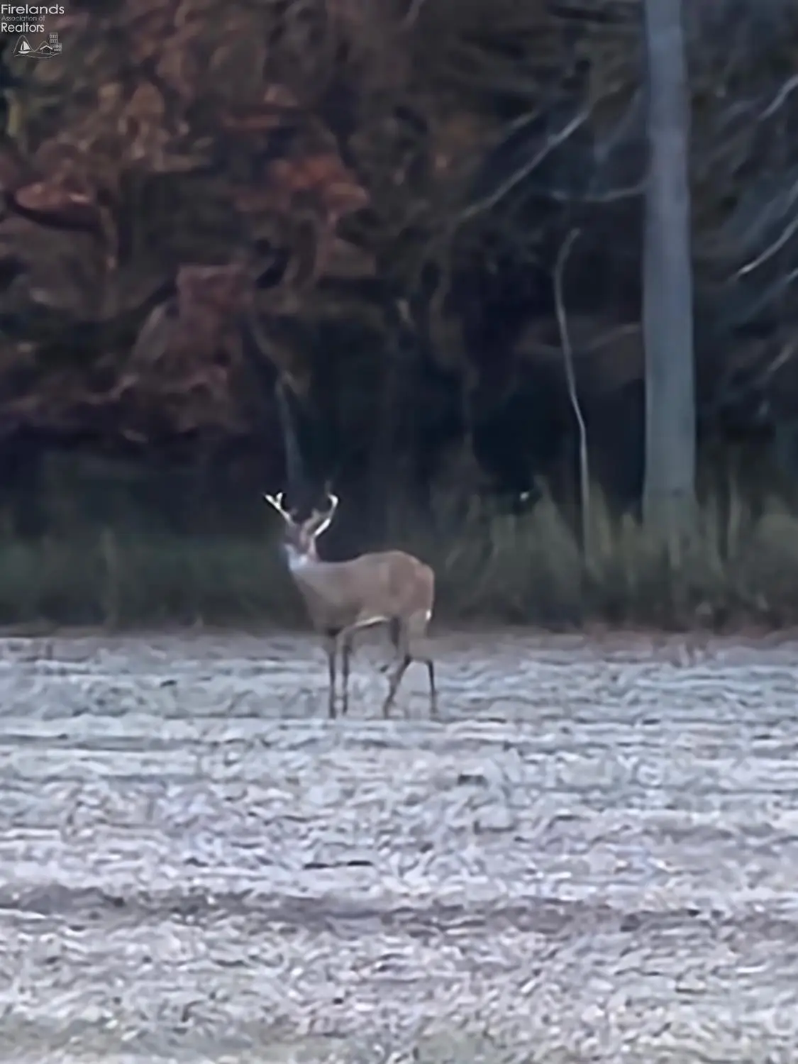 0 Section Line Road, New London, OH 44851 - Image #1