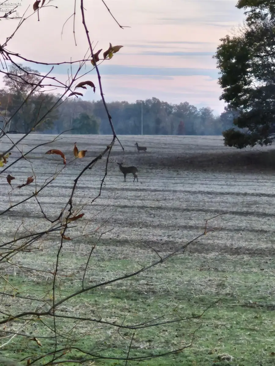 0 Section Line Road, New London, OH 44851 - Image #2