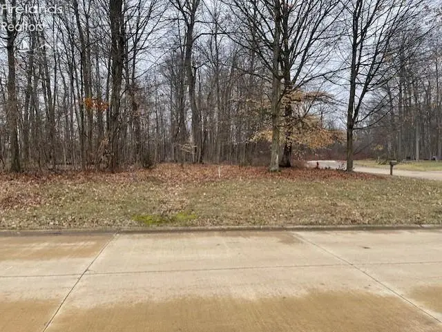 0 Stony Brook, Wakeman, OH 44889 - #2