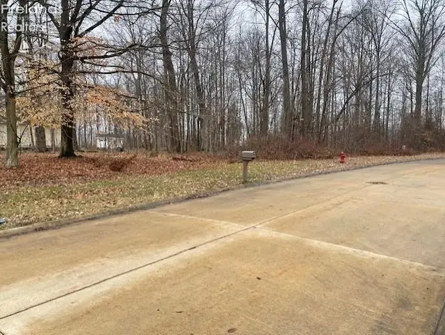0 Stony Brook, Wakeman, OH 44889 - #3