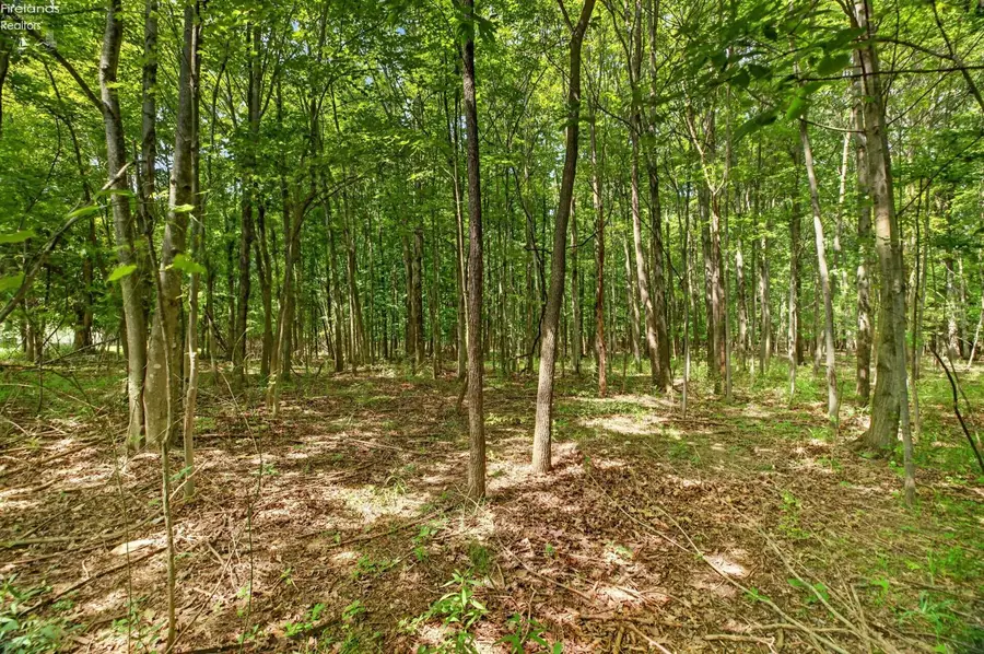 0 Brownhelm Station Road, Vermilion, OH 44089 - #2