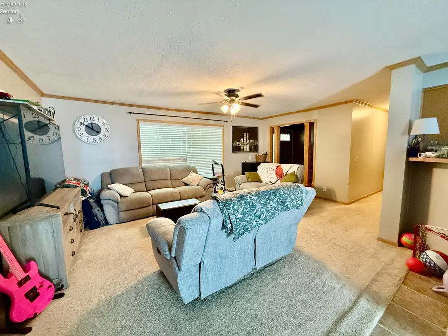 410 David Street, Bettsville, OH 44815 - #3