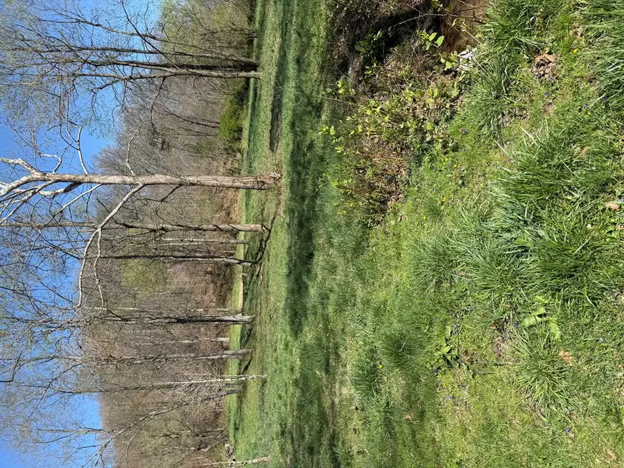 1381 St Rt 7, South Shore, KY 41175 - #3