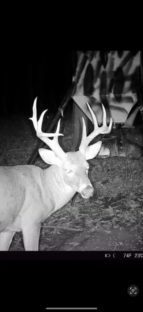 0 Storys Run Rd, Salisbury, OH 45621 - #2