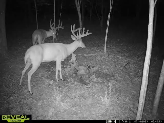 448 Candy Run Houston Hollow Rd., Lucasville, OH 45648 - Image #1