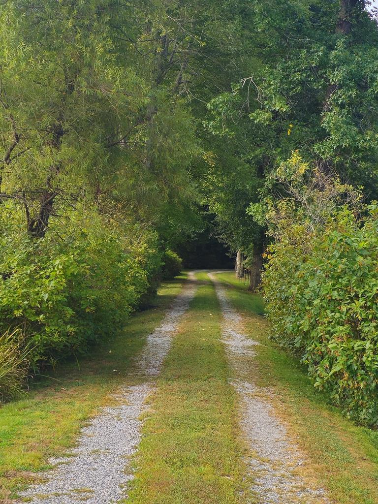 6485 Millers Back Run Road, Lucasville, OH 45648 - Image #3