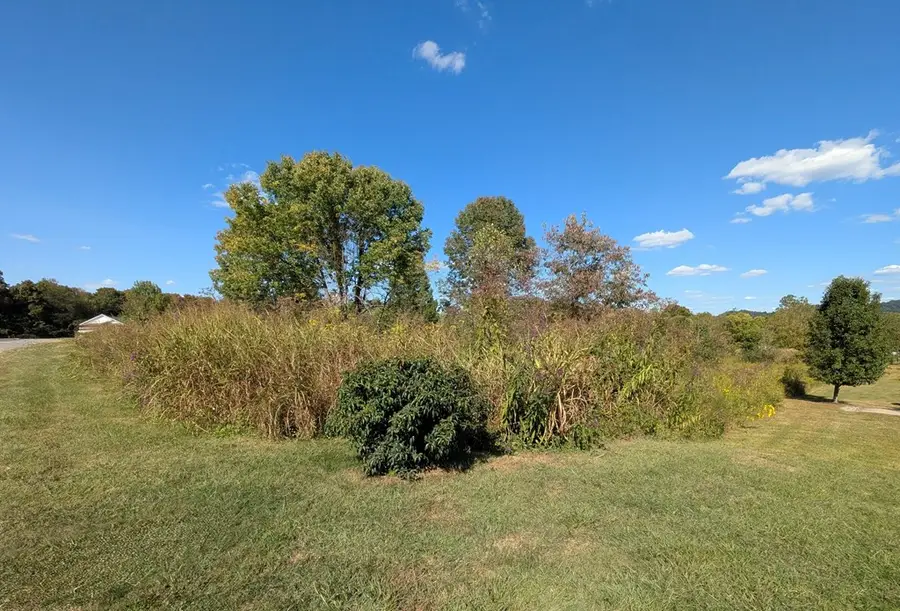 0 Little Cheryl, McDermott, OH 45652 - Image #3