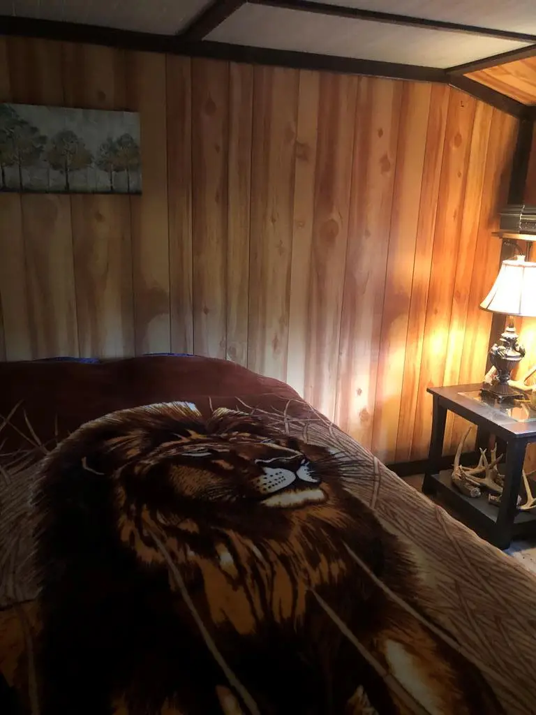 4384 St Rt 784, South Shore, KY 41175 - Image #1