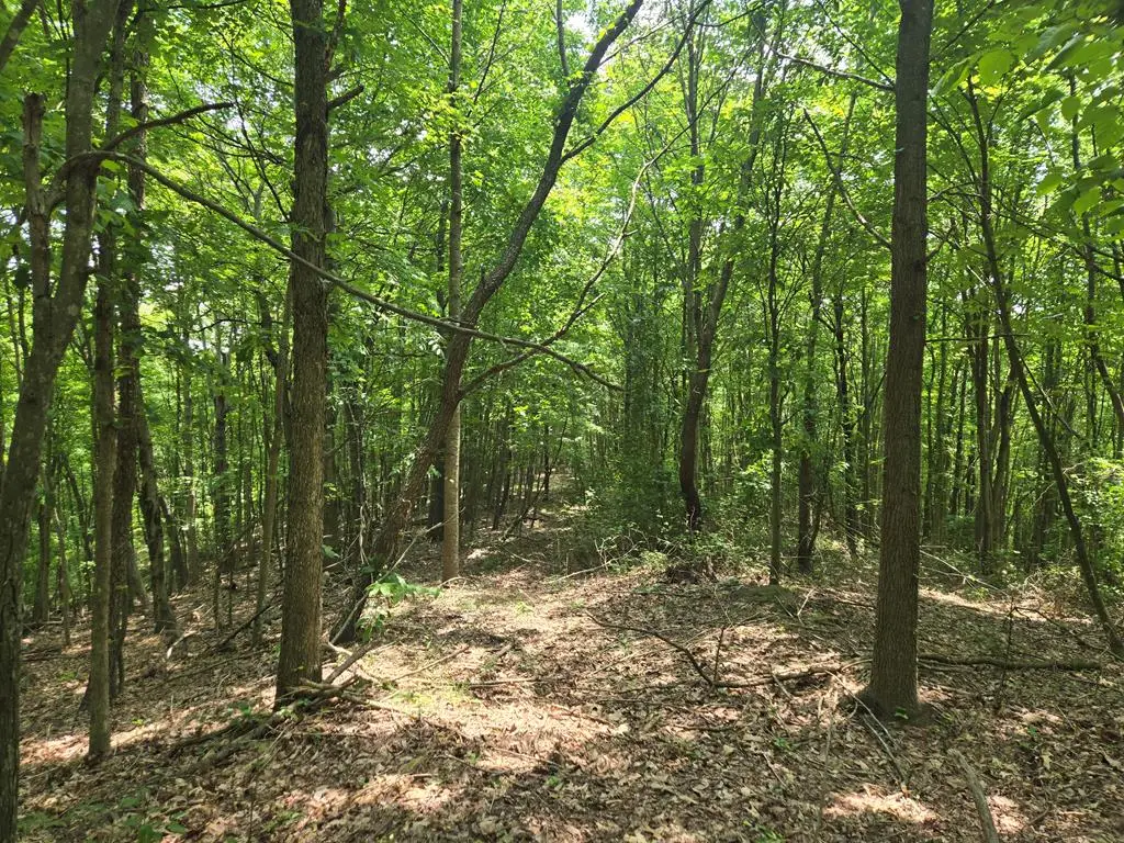 0 Stout Hollow Rd, Portsmouth, OH 45662 - #1