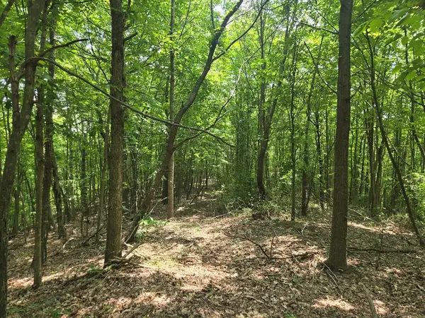 0 Stout Hollow Rd, Portsmouth, OH 45662