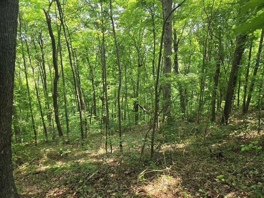 0 Stout Hollow Rd, Portsmouth, OH 45662 - #2