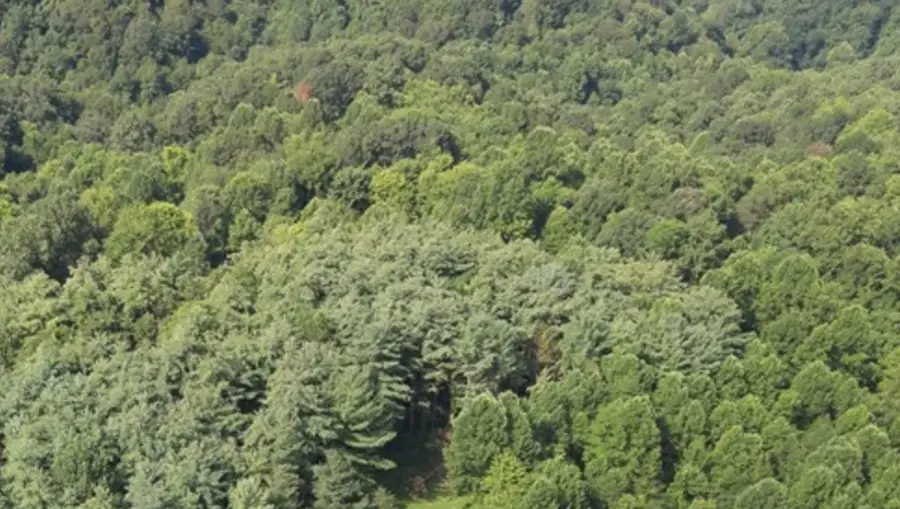 0 0 Dutch Ridge Rd, Portsmouth, OH 45662 - Image #2