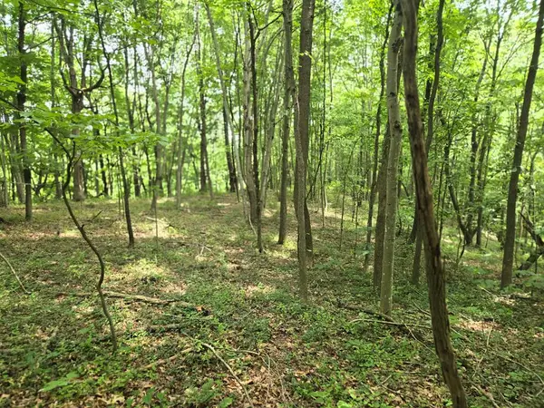 0 Dutch Ridge Rd, Portsmouth, OH 45662