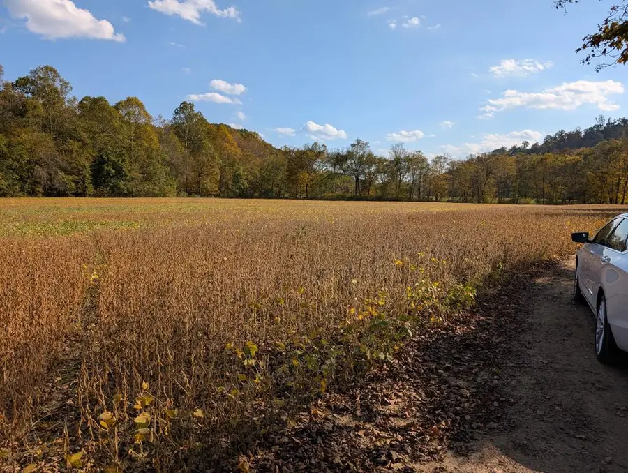 0 Millers Run Fallen Timber Road, Lucasville, OH 45648 - #2