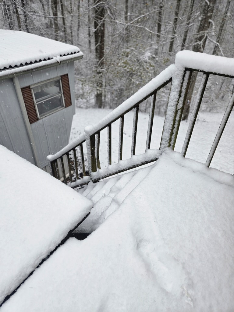 459 Holbrook Rd., Beaver, OH 45613 - Image #3