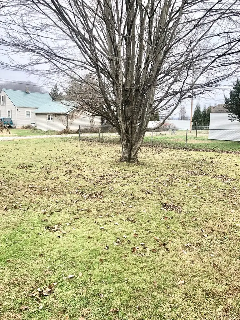 162 Kz Ratliff Ln, South Shore, KY 41175 - Image #3