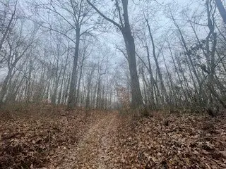 Address Withheld By Seller, South Webster, OH 45682 - Image #2