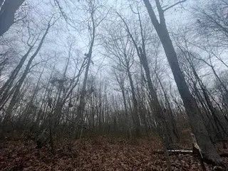 Address Withheld By Seller, South Webster, OH 45682 - Image #3