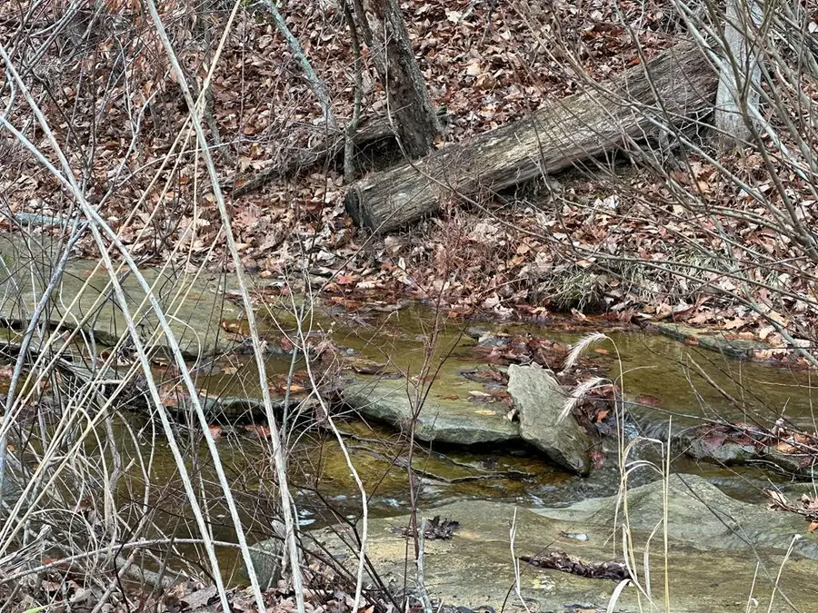 0 Millers Run Fallen Timber Road, Lucasville, OH 45648 - Image #2