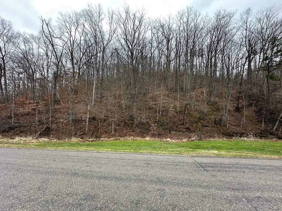 0 Millers Run Fallen Timber Road, Lucasville, OH 45648 - Image #3
