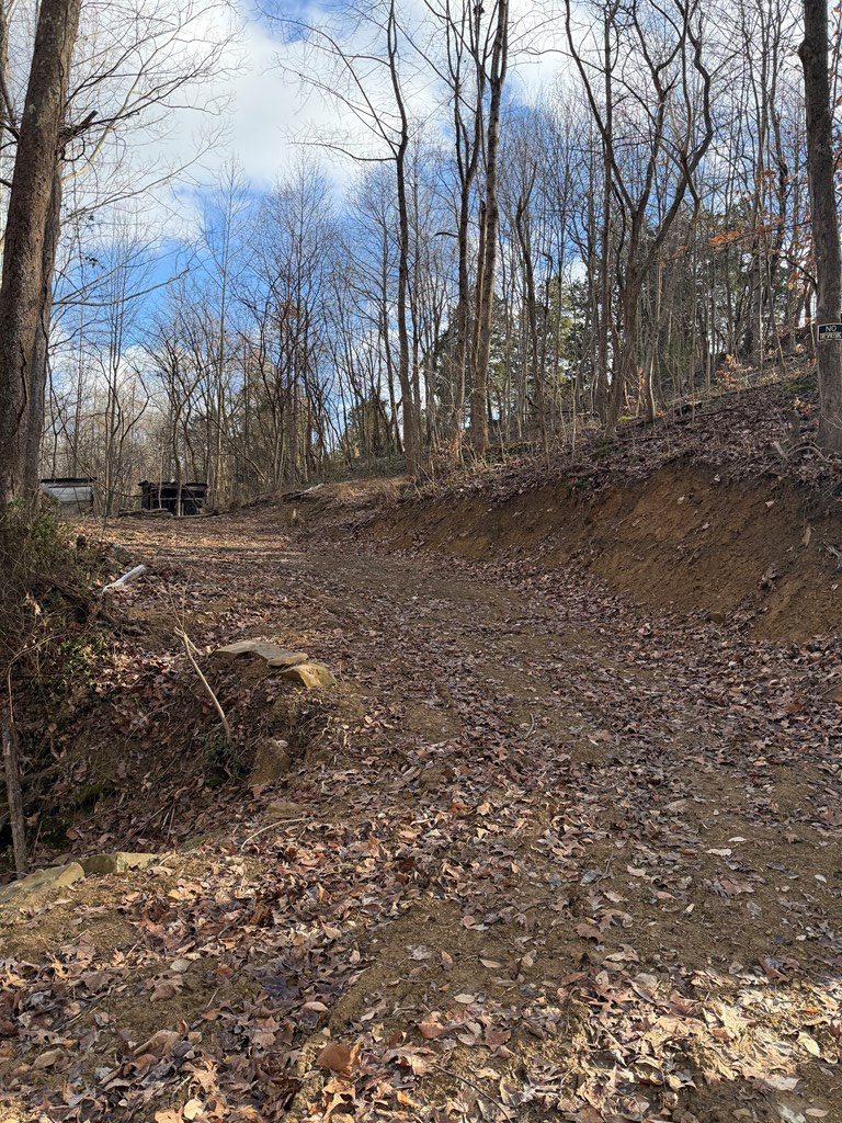 0 Pine Lodge Rd, West Portsmouth, OH 45663 - Image #3