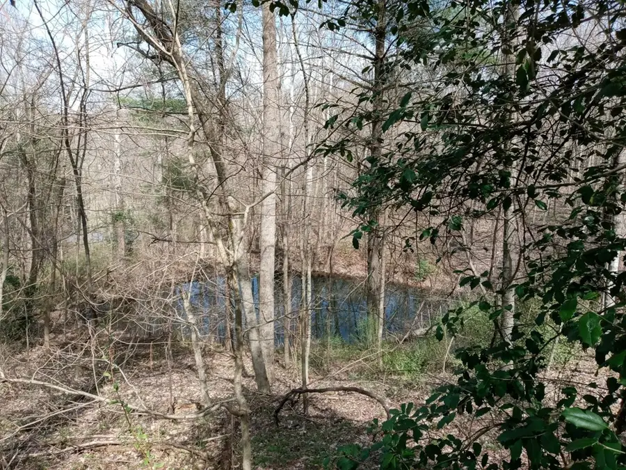 0 Essman Sugar Camp Rd, South Webster, OH 45682 - #3