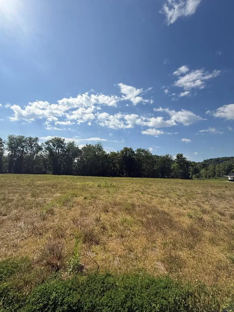 Lot 2 Blaze N Kam Ln, South Shore, KY 41175 - #1