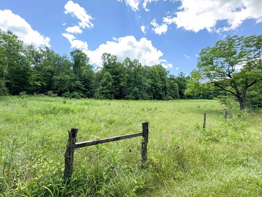 0 State Route 772 & Left Fork Road, Rarden, OH 45671 - #2