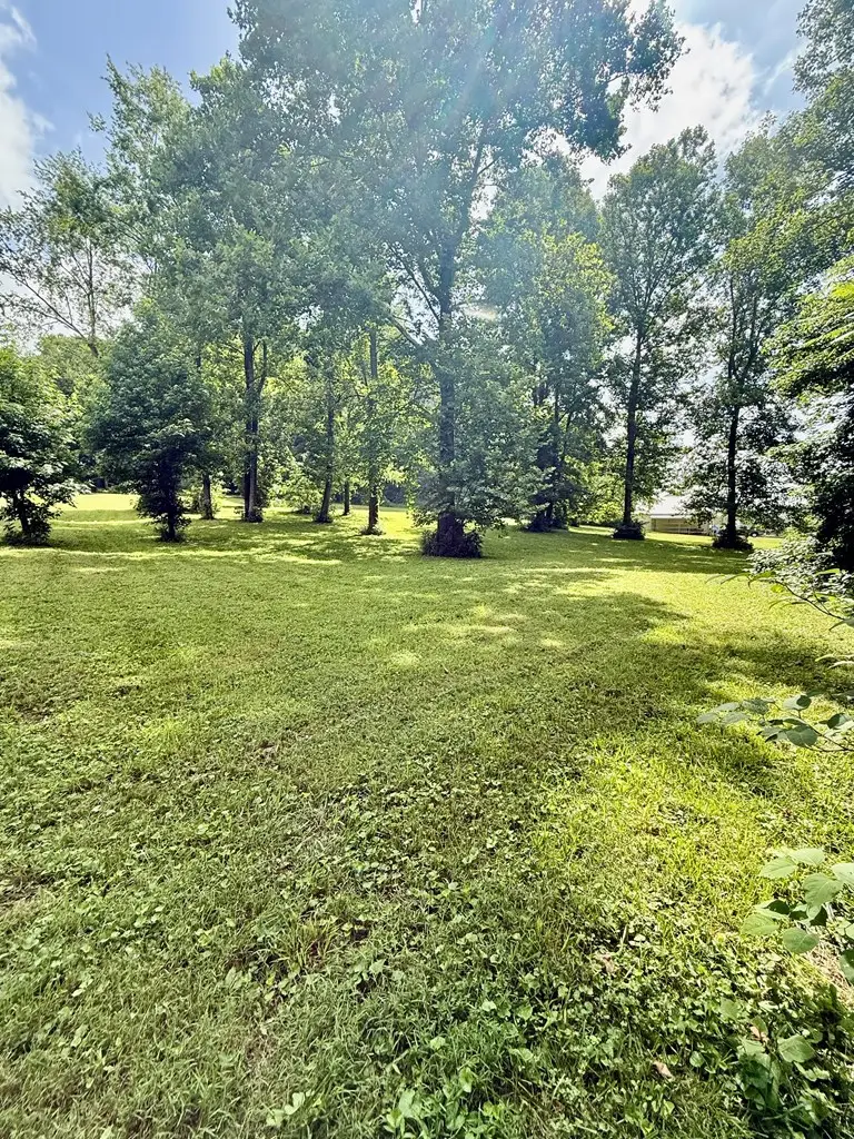 1381 St Rt 7, South Shore, KY 41175 - #3