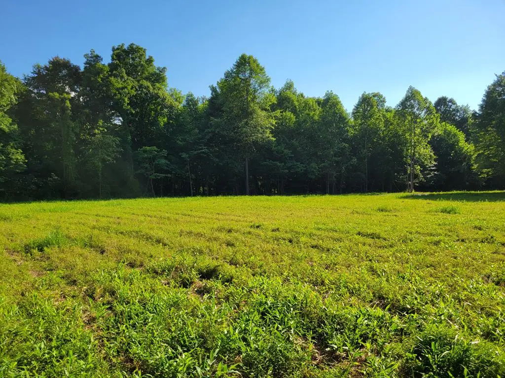 1020 Dewey Extension Rd., Lucasville, OH 45648 - #1
