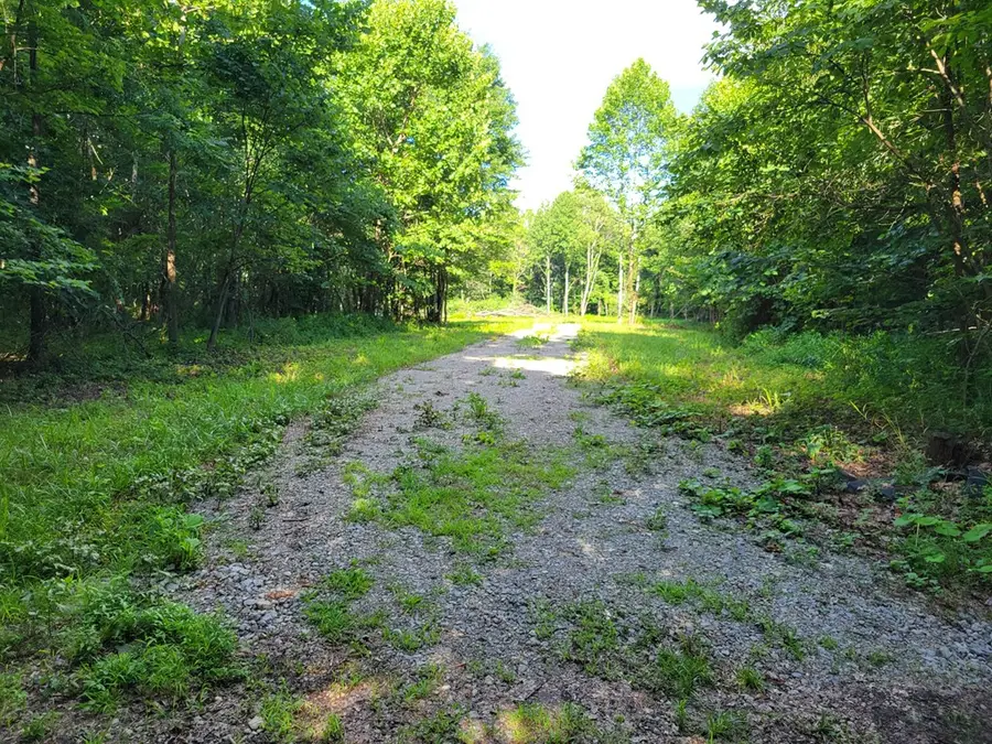 1020 Dewey Extension Rd., Lucasville, OH 45648 - #2