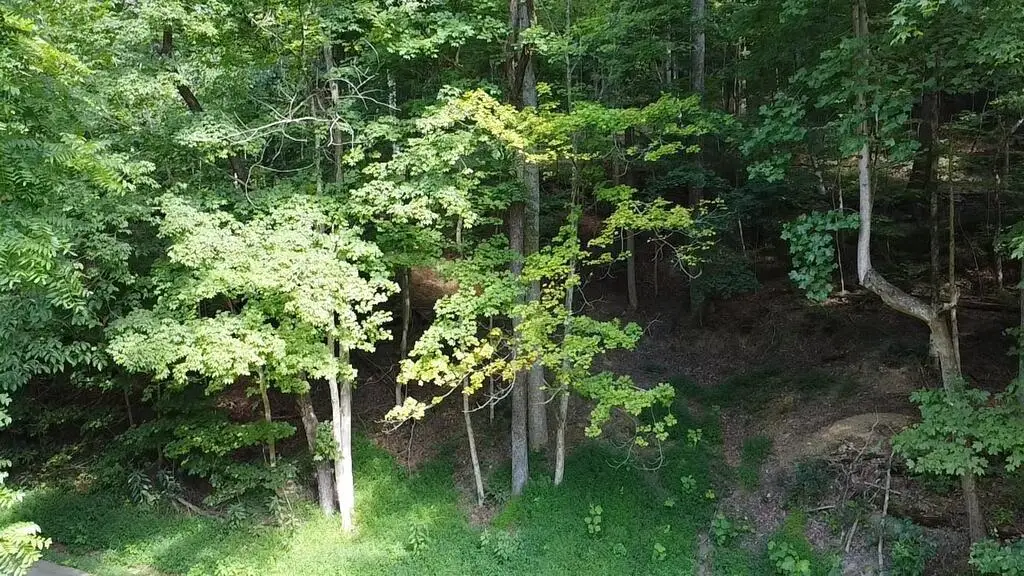 0 Coon Hollow Road, Lucasville, OH 45648 - #1
