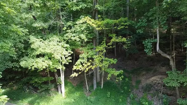 0 Coon Hollow Road, Lucasville, OH 45648