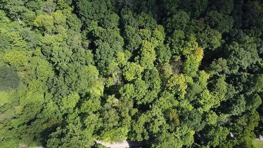 0 Coon Hollow Road, Lucasville, OH 45648 - #2