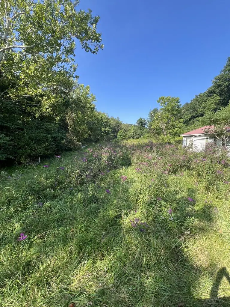 0 Turkey Foot Road, Wheelersburg, OH 45694 - #3