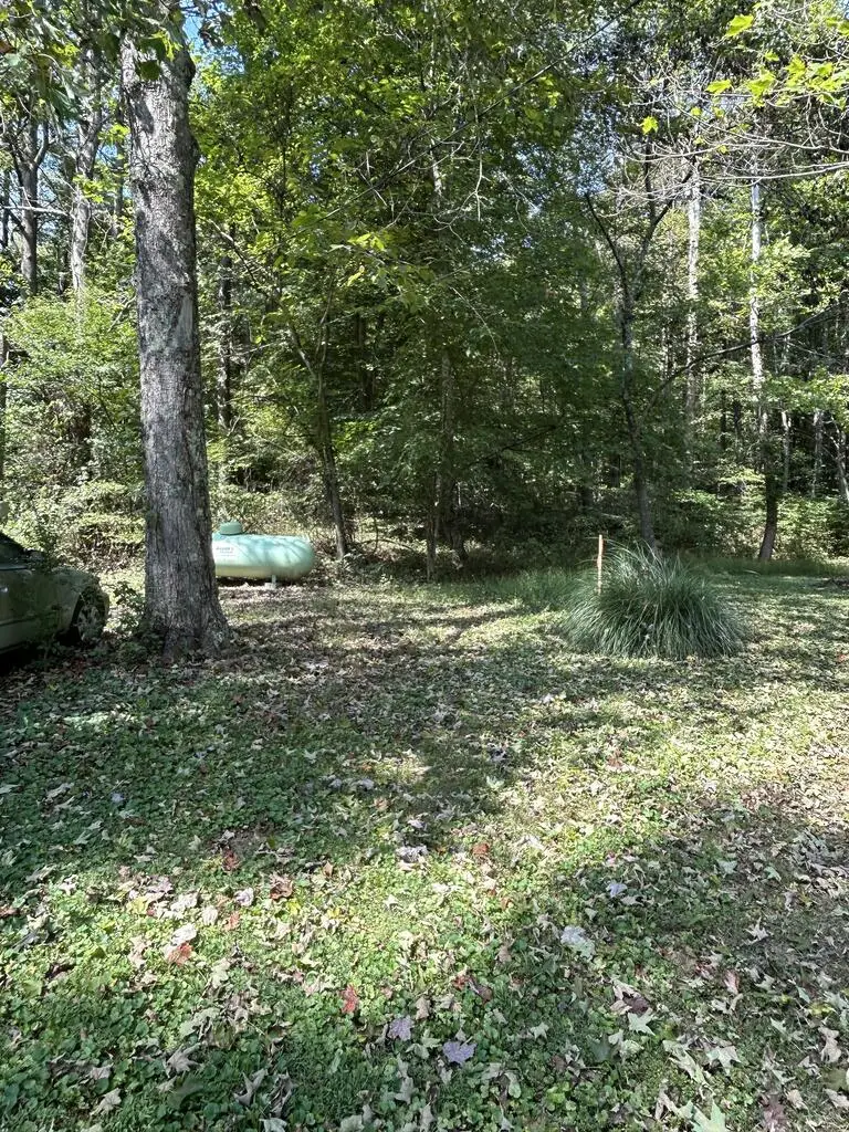 309 Candy Run Houston Holow Road, Lucasville, OH 45648 - #2