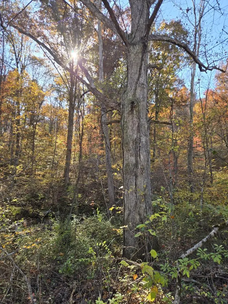 0 Darnell Hill Rd, Otway, OH 45657 - #3