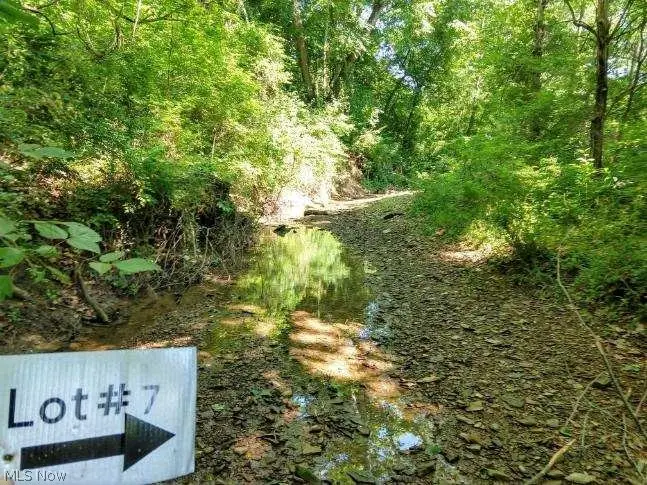 3955 Wedgewood Drive, McConnelsville, OH 43756 - Image #3